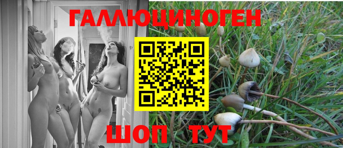 Псилоцибиновые грибы мухоморы Сланцы