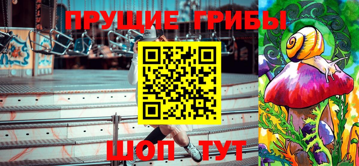 Псилоцибиновые грибы прущие грибы  Вход с VPN  Псилоцибиновые грибы прущие грибы  Сланцы 